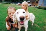 Hundehalterhaftpflicht Versicherung